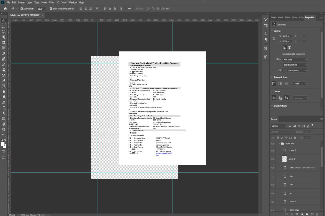 Modèle Word et PDF d'inscription électronique au Sri Lanka template